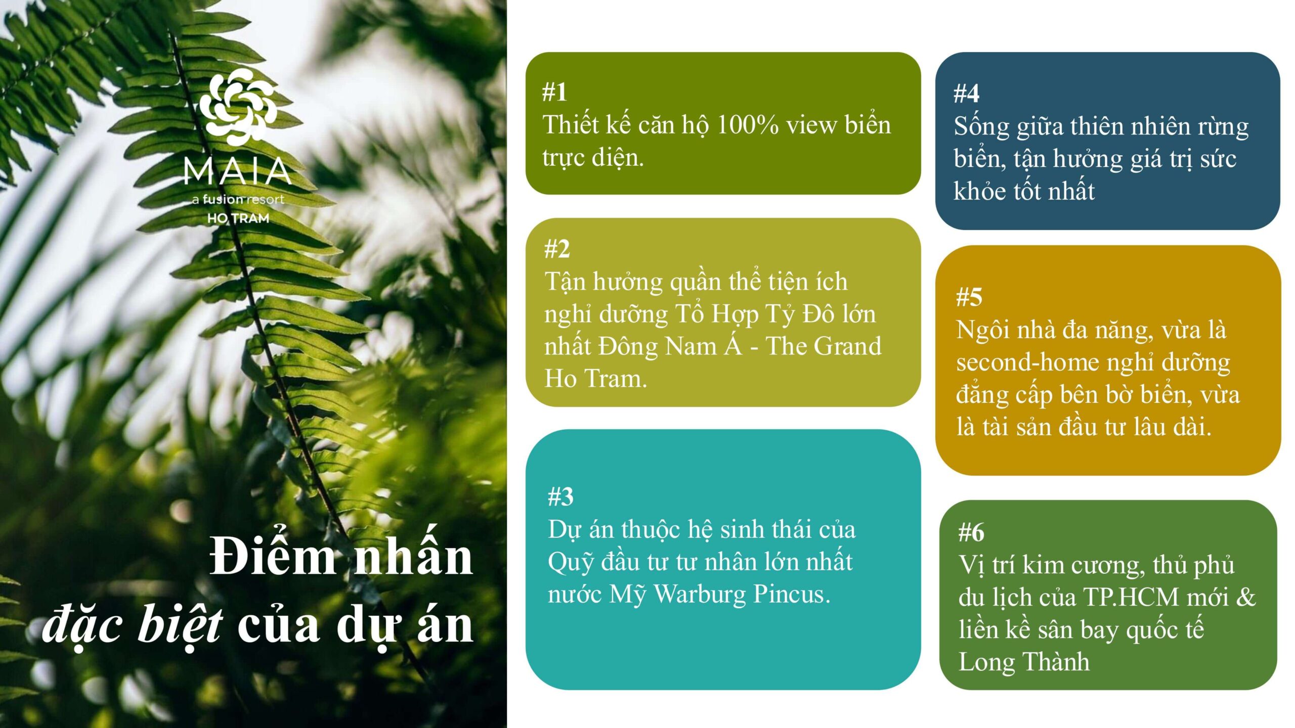 điểm nhấn đặc biệt của dự án